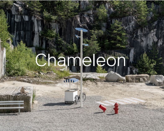 Chameleon – Landing Page 1