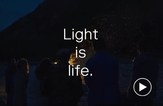 ight-is-ife