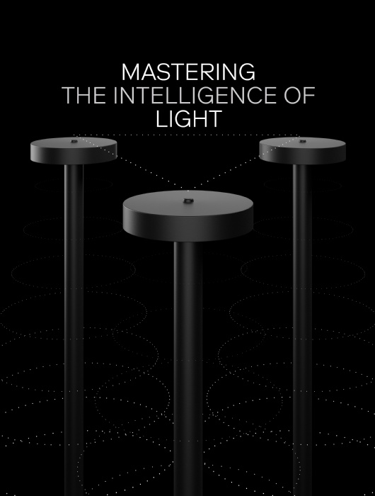 MASTERING THE INTELLIGENCE OF LIGHT 1
